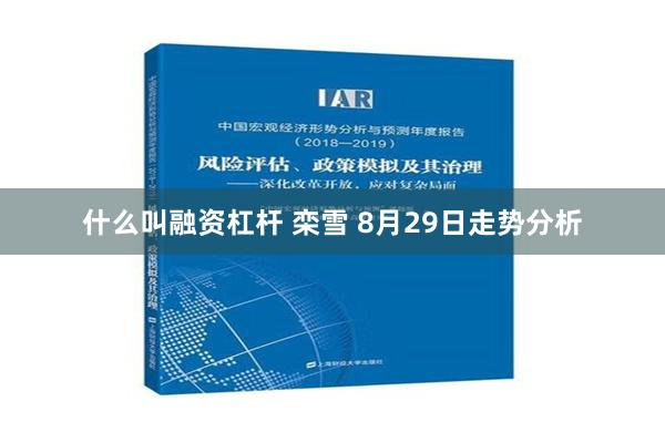 什么叫融资杠杆 栾雪 8月29日走势分析