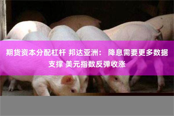 期货资本分配杠杆 邦达亚洲： 降息需要更多数据支撑 美元指数反弹收涨