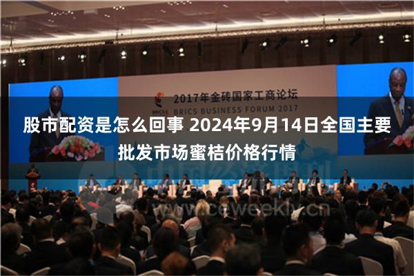 股市配资是怎么回事 2024年9月14日全国主要批发市场蜜桔价格行情