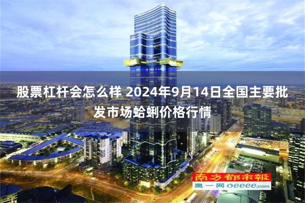 股票杠杆会怎么样 2024年9月14日全国主要批发市场蛤蜊价格行情