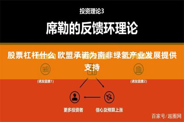 股票杠杆什么 欧盟承诺为南非绿氢产业发展提供支持