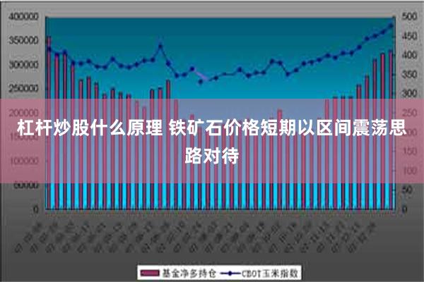 杠杆炒股什么原理 铁矿石价格短期以区间震荡思路对待