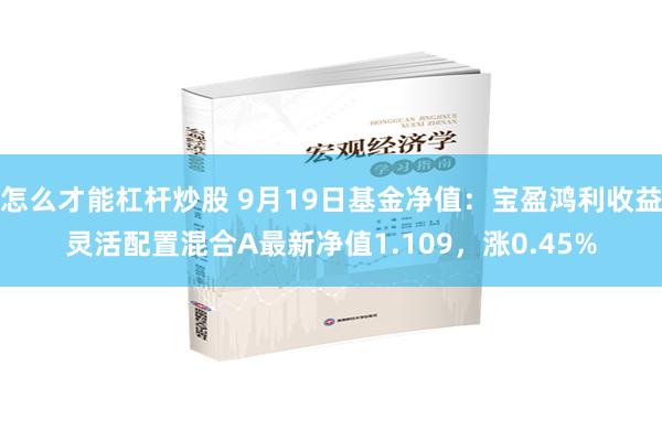 怎么才能杠杆炒股 9月19日基金净值：宝盈鸿利收益灵活配置混合A最新净值1.109，涨0.45%