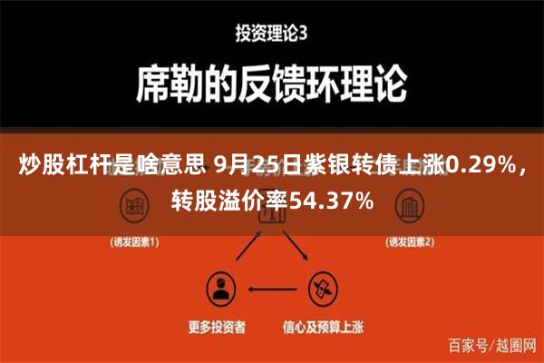 炒股杠杆是啥意思 9月25日紫银转债上涨0.29%，转股溢价率54.37%
