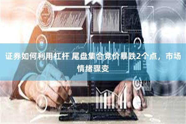 证券如何利用杠杆 尾盘集合竞价暴跌2个点，市场情绪骤变