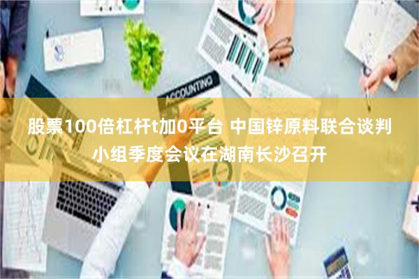 股票100倍杠杆t加0平台 中国锌原料联合谈判小组季度会议在湖南长沙召开