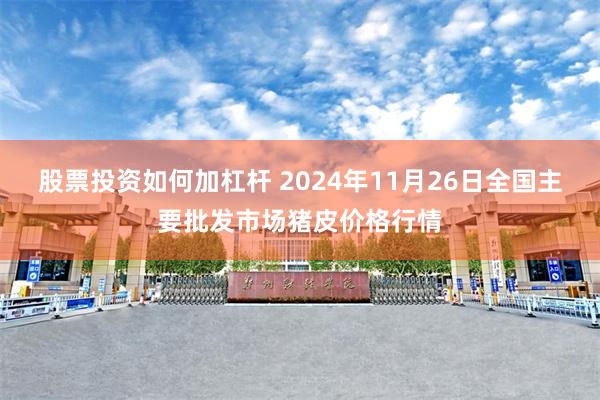 股票投资如何加杠杆 2024年11月26日全国主要批发市场猪皮价格行情