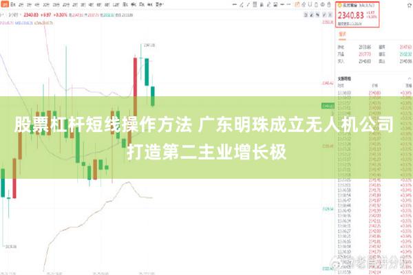 股票杠杆短线操作方法 广东明珠成立无人机公司 打造第二主业增长极