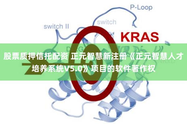 股票质押信托配资 正元智慧新注册《正元智慧人才培养系统V5.0》项目的软件著作权