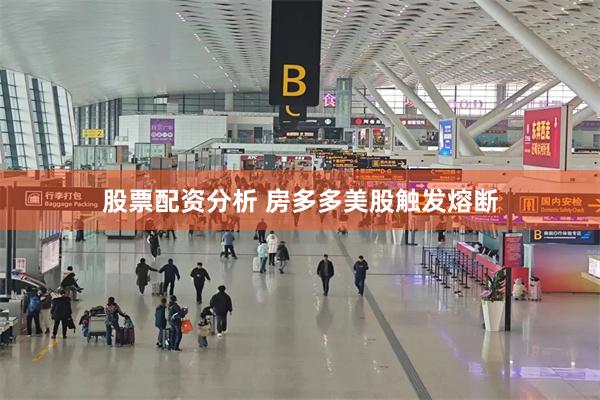 股票配资分析 房多多美股触发熔断