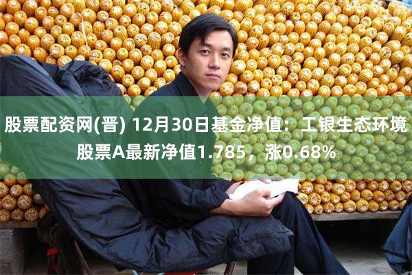 股票配资网(晋) 12月30日基金净值：工银生态环境股票A最新净值1.785，涨0.68%