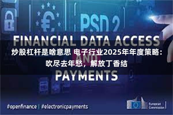 炒股杠杆是啥意思 电子行业2025年年度策略：吹尽去年愁，解放丁香结