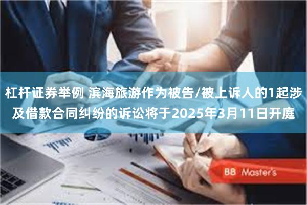 杠杆证券举例 滨海旅游作为被告/被上诉人的1起涉及借款合同纠纷的诉讼将于2025年3月11日开庭