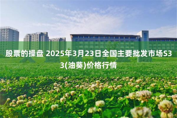 股票的操盘 2025年3月23日全国主要批发市场S33(油葵)价格行情