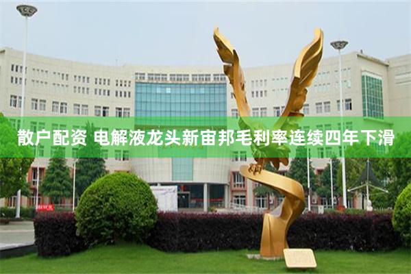 散户配资 电解液龙头新宙邦毛利率连续四年下滑