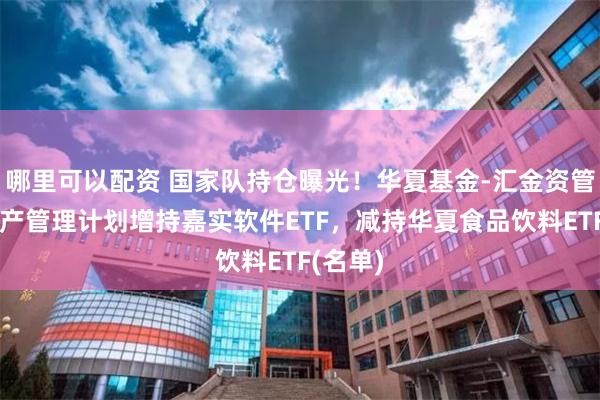 哪里可以配资 国家队持仓曝光！华夏基金-汇金资管单一资产管理计划增持嘉实软件ETF，减持华夏食品饮料ETF(名单)