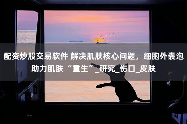 配资炒股交易软件 解决肌肤核心问题，细胞外囊泡助力肌肤 “重生”_研究_伤口_皮肤
