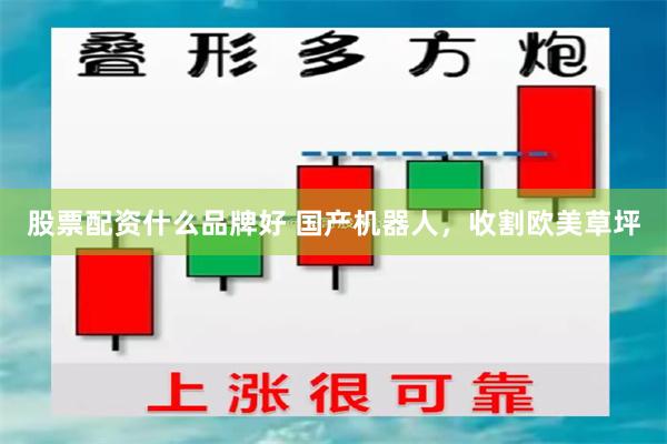 股票配资什么品牌好 国产机器人，收割欧美草坪