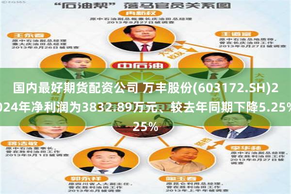 国内最好期货配资公司 万丰股份(603172.SH)2024年净利润为3832.89万元、较去年同期下降5.25%
