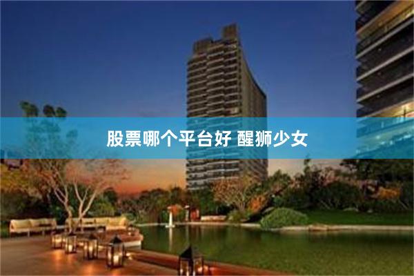 股票哪个平台好 醒狮少女
