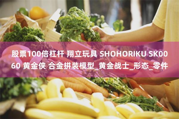 股票100倍杠杆 翔立玩具 SHOHORIKU SK0060 黄金侠 合金拼装模型_黄金战士_形态_零件