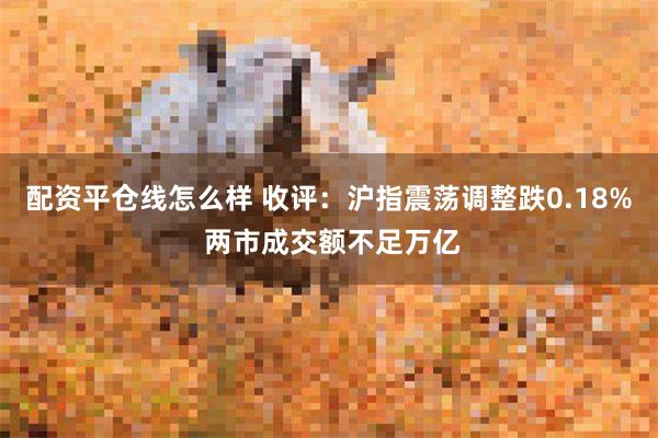 配资平仓线怎么样 收评：沪指震荡调整跌0.18% 两市成交额不足万亿