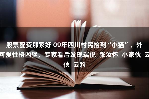 股票配资那家好 09年四川村民捡到“小猫”，外表可爱性格凶猛，专家看后发现端倪_张汝怀_小家伙_云豹