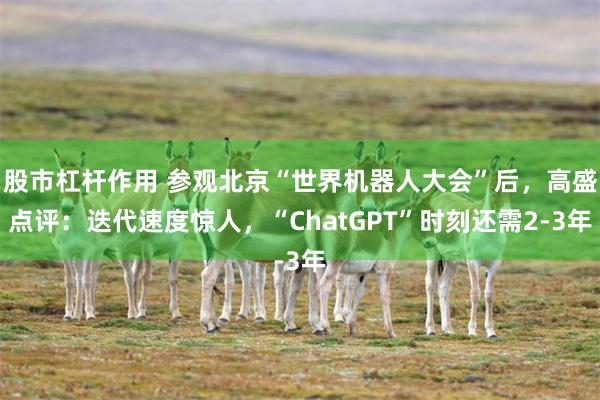 股市杠杆作用 参观北京“世界机器人大会”后，高盛点评：迭代速度惊人，“ChatGPT”时刻还需2-3年