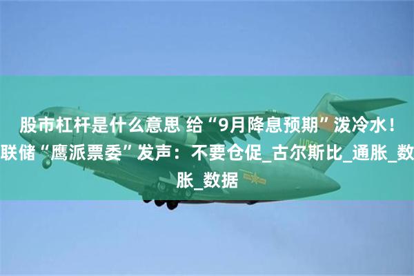 股市杠杆是什么意思 给“9月降息预期”泼冷水！美联储“鹰派票委”发声：不要仓促_古尔斯比_通胀_数据