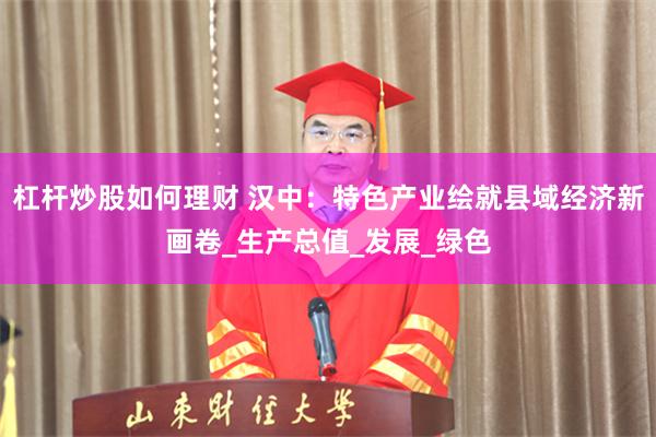 杠杆炒股如何理财 汉中：特色产业绘就县域经济新画卷_生产总值_发展_绿色