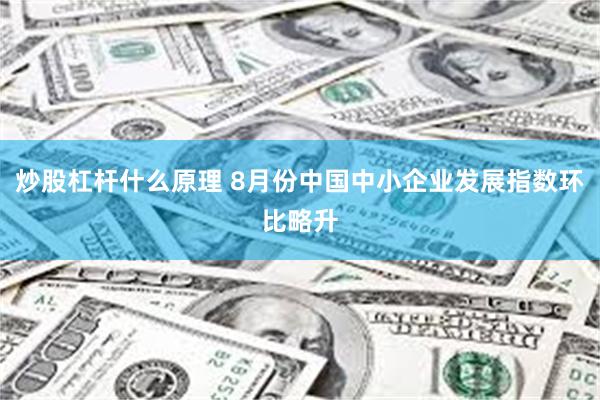 炒股杠杆什么原理 8月份中国中小企业发展指数环比略升