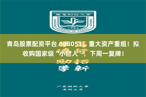 青岛股票配资平台 688051，重大资产重组！拟收购国家级“小巨人”，下周一复牌！