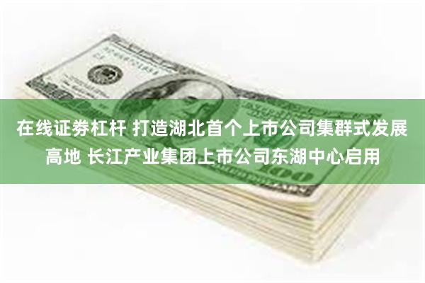 在线证劵杠杆 打造湖北首个上市公司集群式发展高地 长江产业集团上市公司东湖中心启用